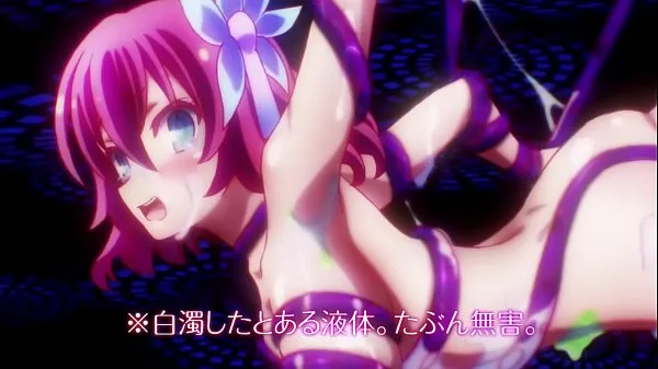 HD No Game No Life (2014) - Fanservice Compilation پاور موویز