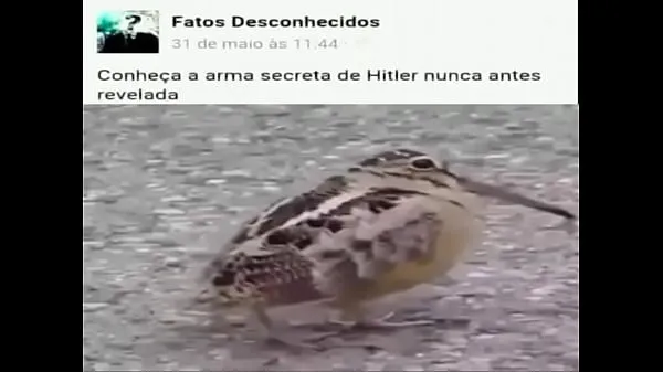 Filmy HD Hitler's Secret Weapon o mocy